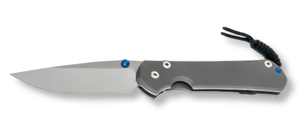 Chris Reeve Knives Large Sebenza 31